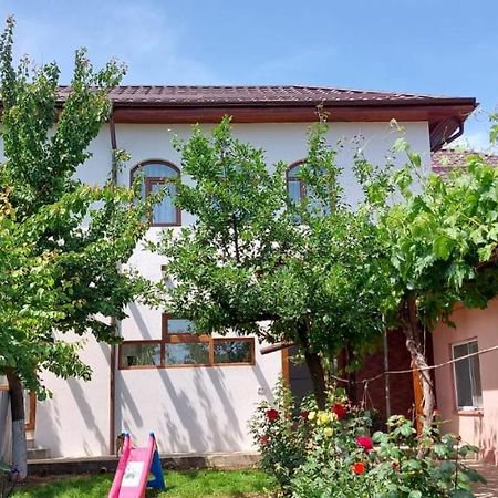 Agropensiunea Olteanu Niculitel Exterior photo
