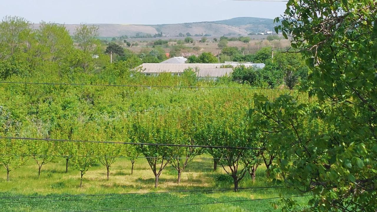 Agropensiunea Olteanu Niculitel Exterior photo