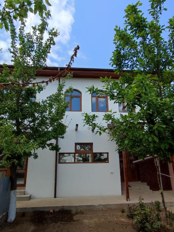 Agropensiunea Olteanu Niculitel Exterior photo