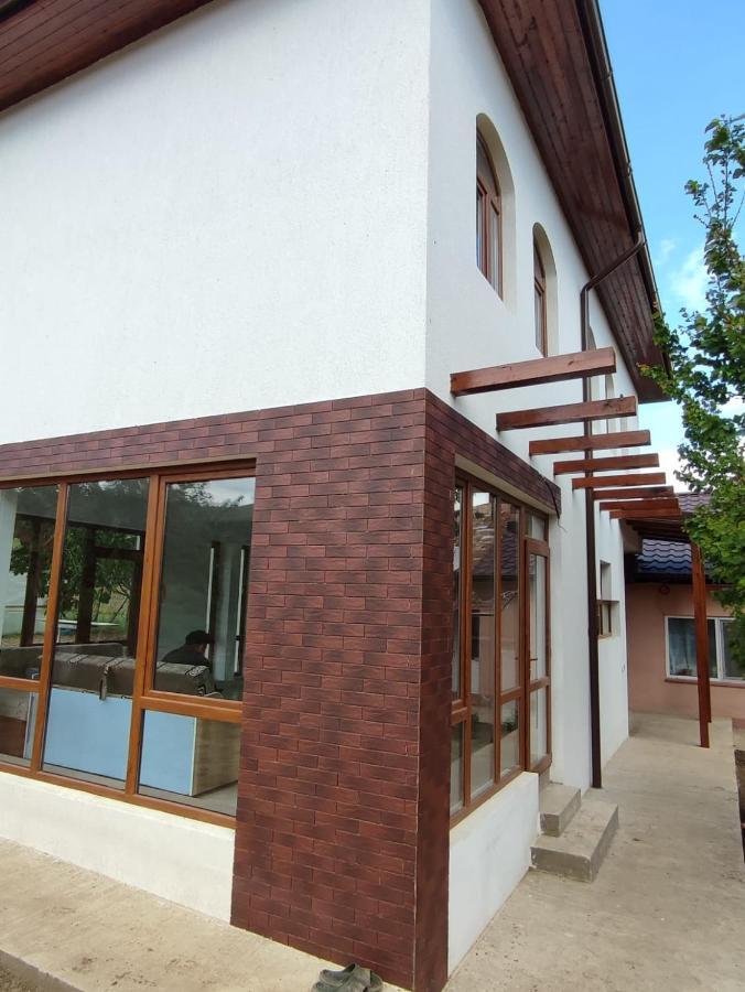 Agropensiunea Olteanu Niculitel Exterior photo