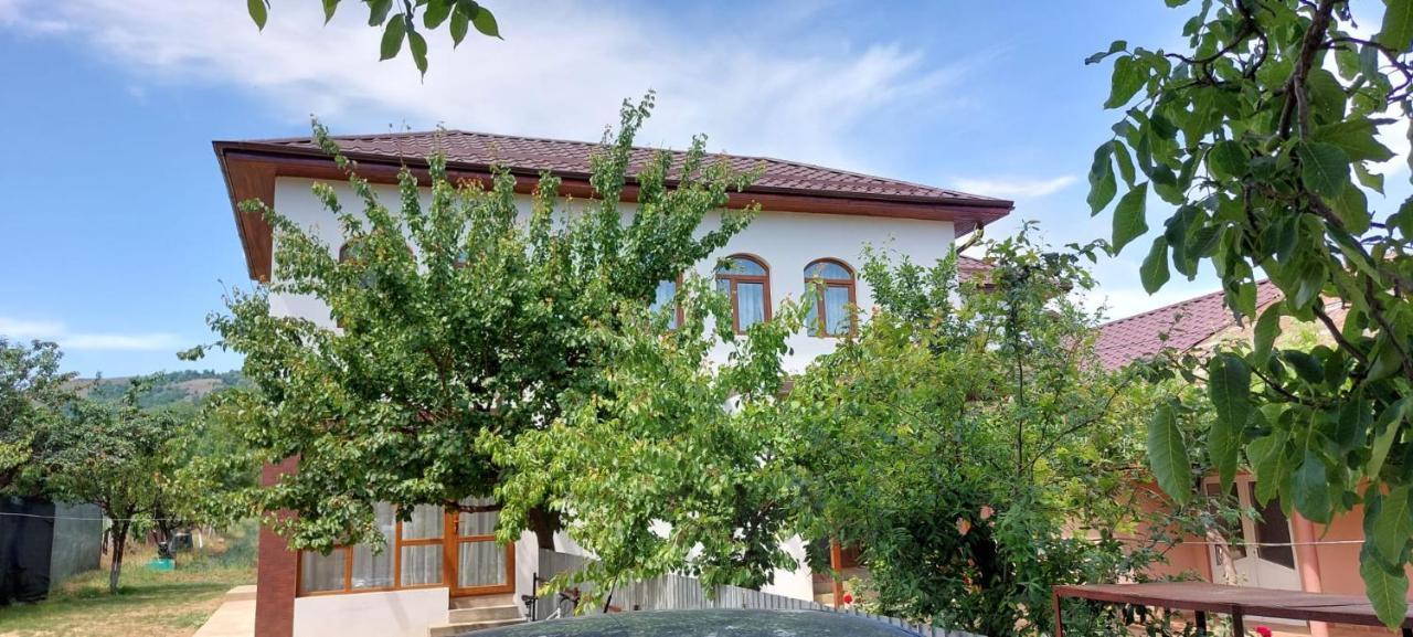 Agropensiunea Olteanu Niculitel Exterior photo
