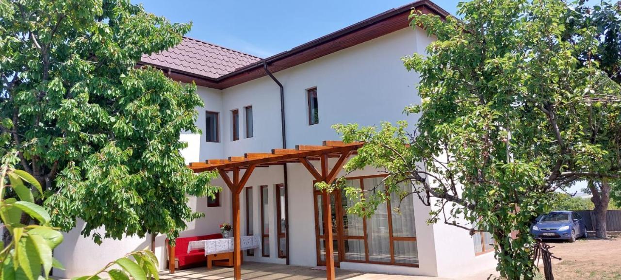 Agropensiunea Olteanu Niculitel Exterior photo