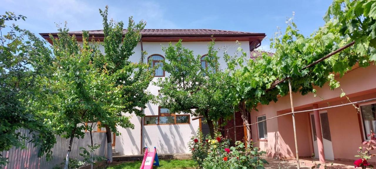 Agropensiunea Olteanu Niculitel Exterior photo