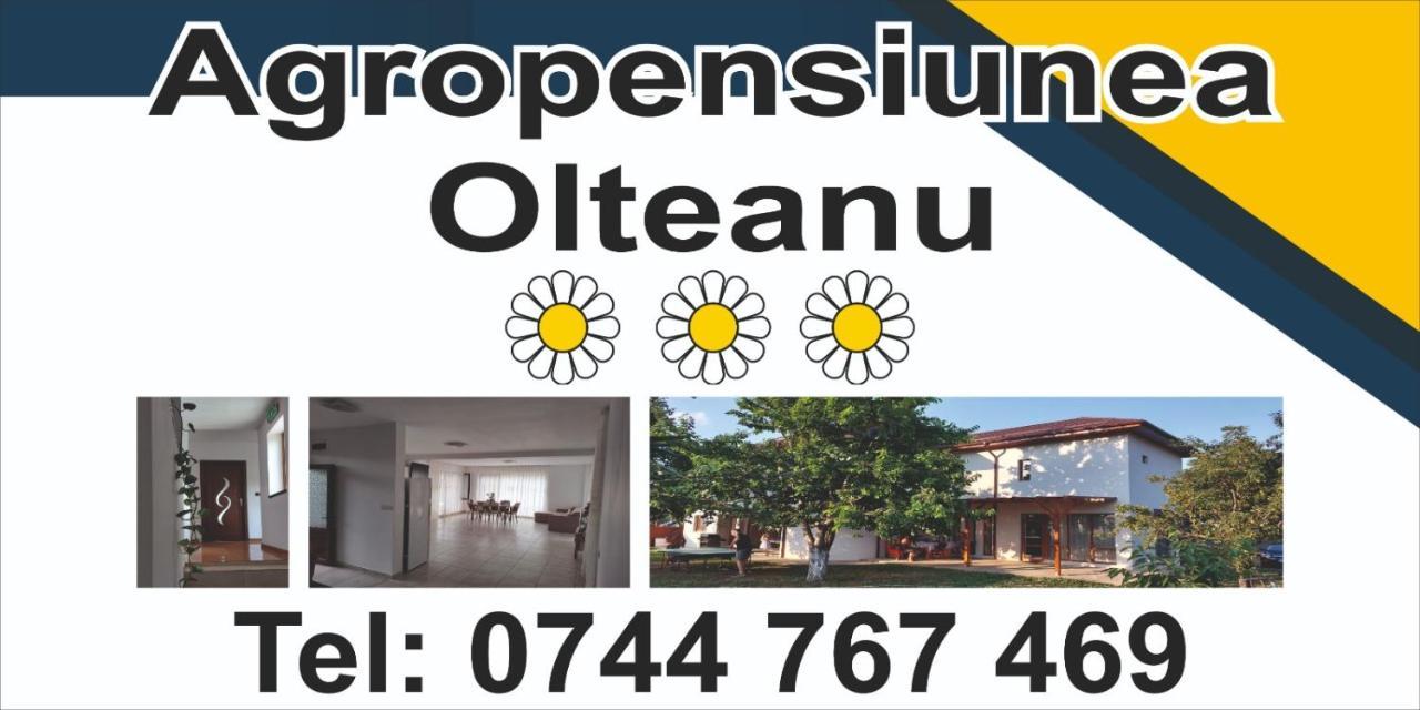 Agropensiunea Olteanu Niculitel Exterior photo